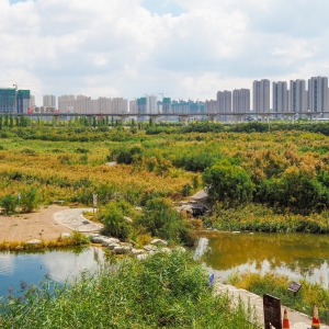 实拍| 秦王川国家湿地公园的动人秋景！
