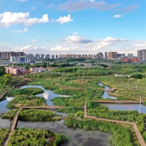 点赞！兰州新区已达到国家园林城市标准