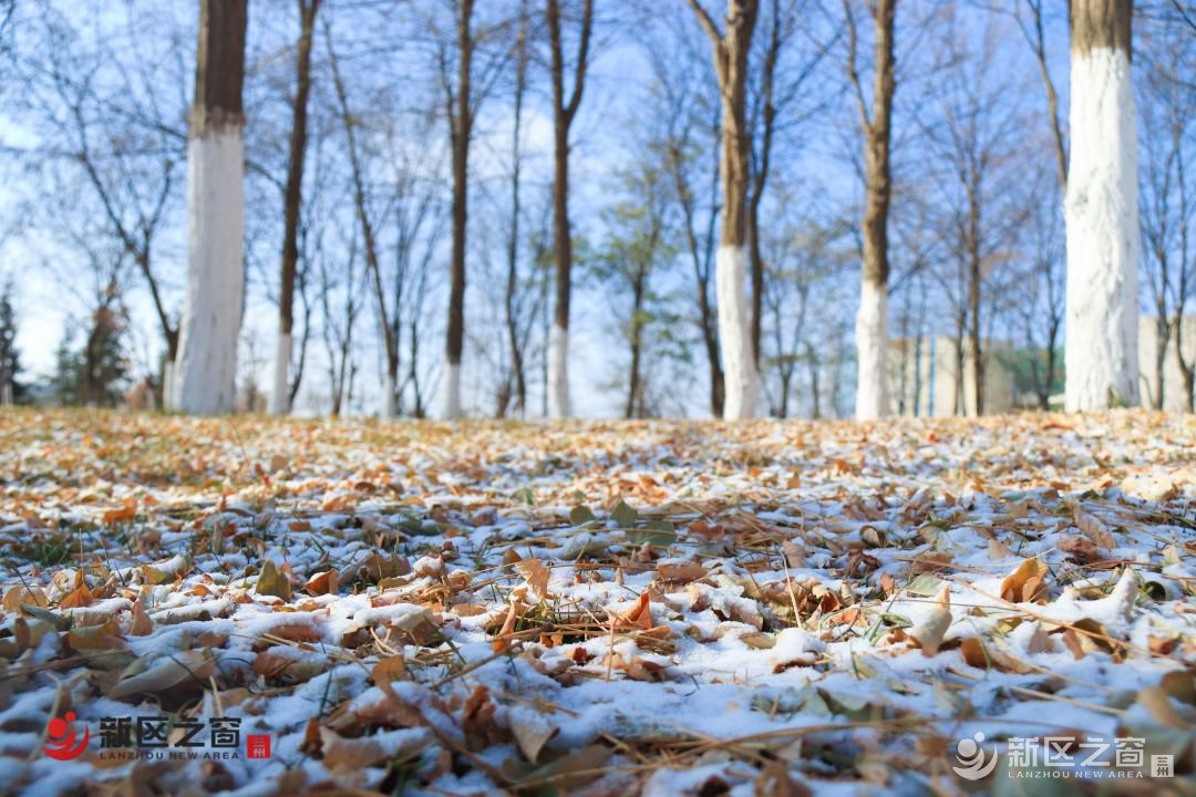 激冻人心！兰州新区2021入冬第一场雪如约而至~
