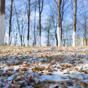 激冻人心！兰州新区2021入冬第一场雪如约而至~