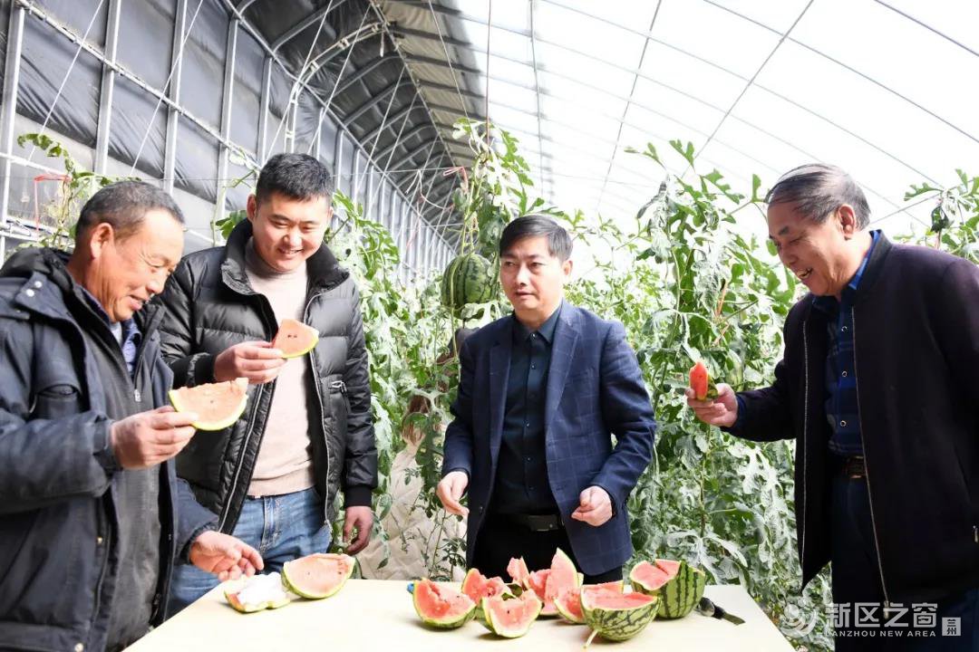 兰州新区喊你来吃瓜……