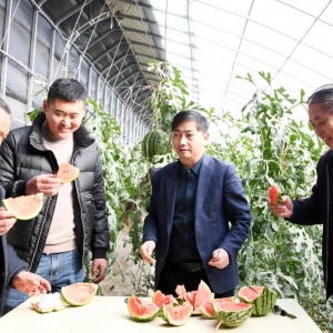 兰州新区喊你来吃瓜……
