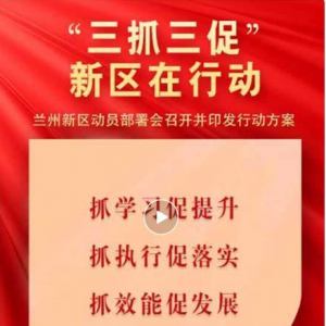 新区纪工委监工委：精准监督 确保“三抓三促”行动走深走实