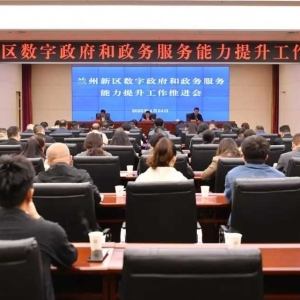 新区召开数字政府和政务服务能力提升工作推进会暨培训会议 ...